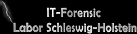 IT Security logo